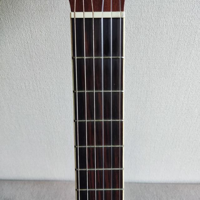 กีต้าร์คลาสสิคไฟฟ้าลำตัวบาง Paramount C551BCEQN รูปที่ 8