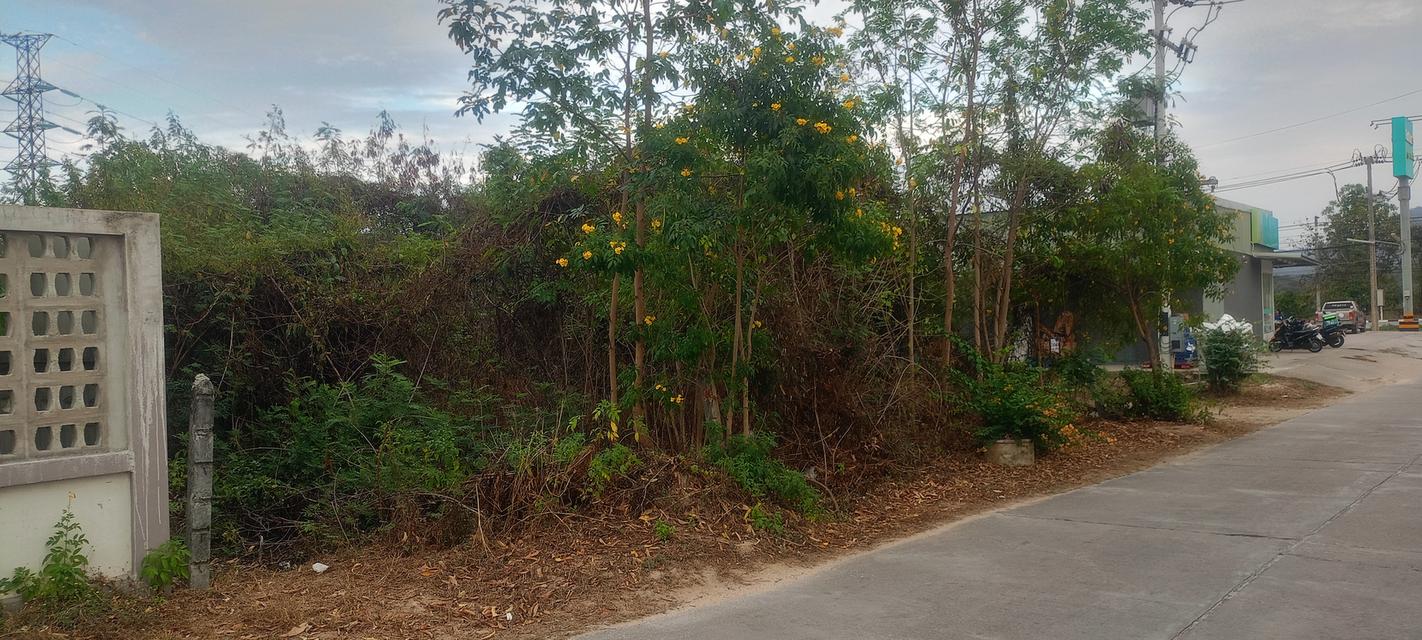 ขายที่ดิน 135 ตารางวา อยู่ปากทางเข้าเขาคันทอง อยู่หลังโลตัส เอ็กซ์เพรส คลองสัก 9