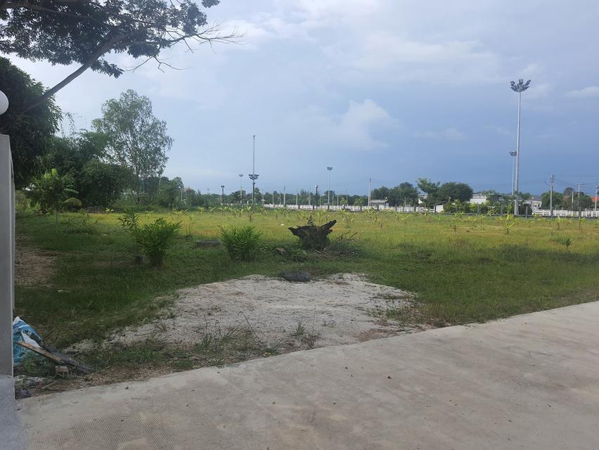 ขายที่ดินตาขันถมแล้ว 2 ไร่ ติดถนนคอนกรีต ซ.สวนสุขภาพหนองอ้อใกล้แยกบ้านแลงถนนเส้น36-3.7กม. อ.บ้านค่าย ระยอง 2