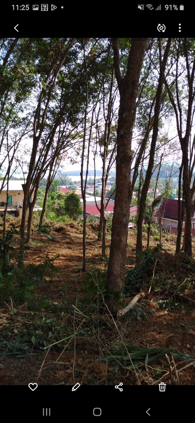 ขายที่ดินโฉนดซีวิวภูเก็ต 2