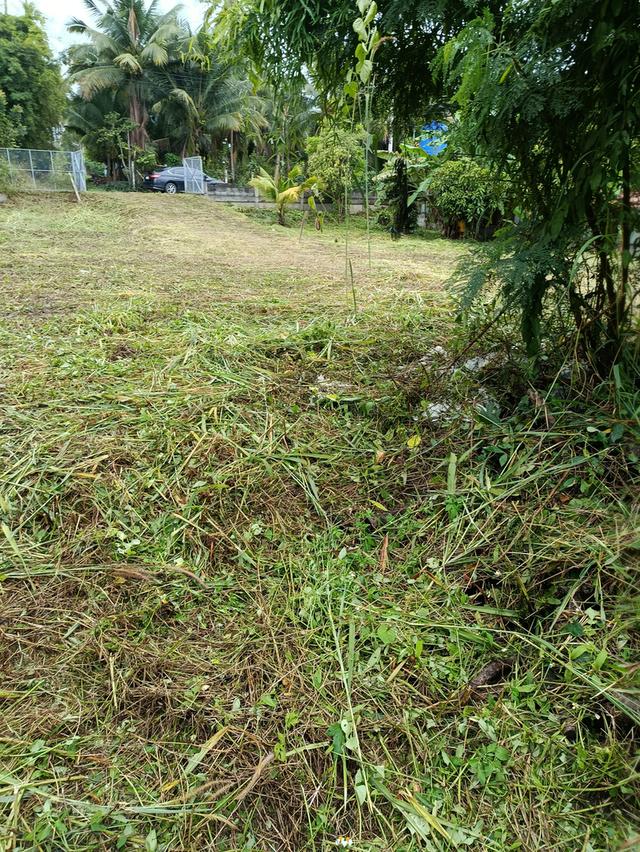 ที่ดินโฉนดเจ้าของขายเอง ปากช่อง กลางดง มวกเหล็ก 10