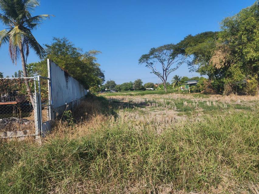 ขายที่ดิน แถวถนนสุวินทวงศ์ 3