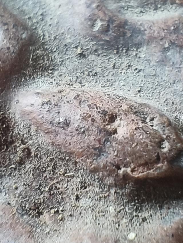 พระขุนแผนเนื้อดินเนื้อชิน (ไม่ทราบที่)จริงแท้พิจารณาตามรูปครับ 7