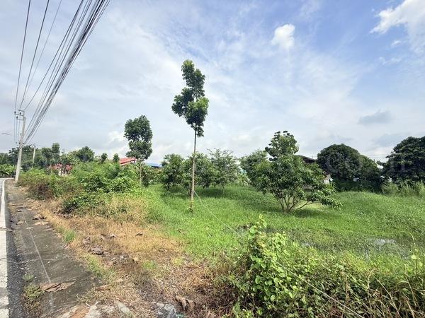 ที่ดินเปล่า 4-1-61 ไร่ ท่าอิฐ 15 แยกตาลเดียว - วัดบางบัวทอง นนทบุรี 3