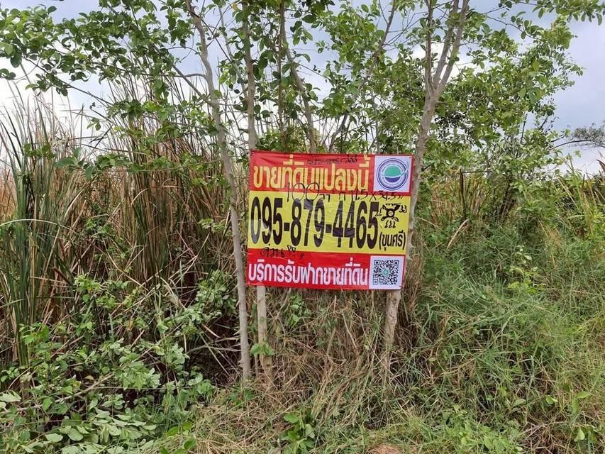 ขายถูกที่สุด ที่ดินทำเลดี 100 ตารางวา ติดถนนสาธารณะ ซอย คลองห้าตะวันออก 3 อ.คลองหลวง จ.ปทุมธานี 1