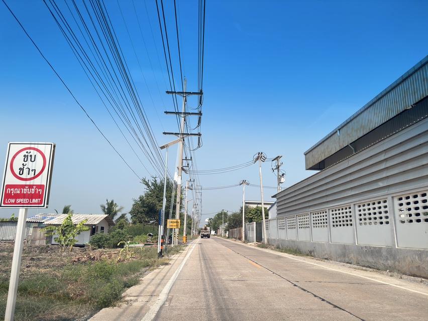 ขายที่ดิน 120 ตร.ว. ทำเลดี ราคาถูกกว่าท้องตลาด 2