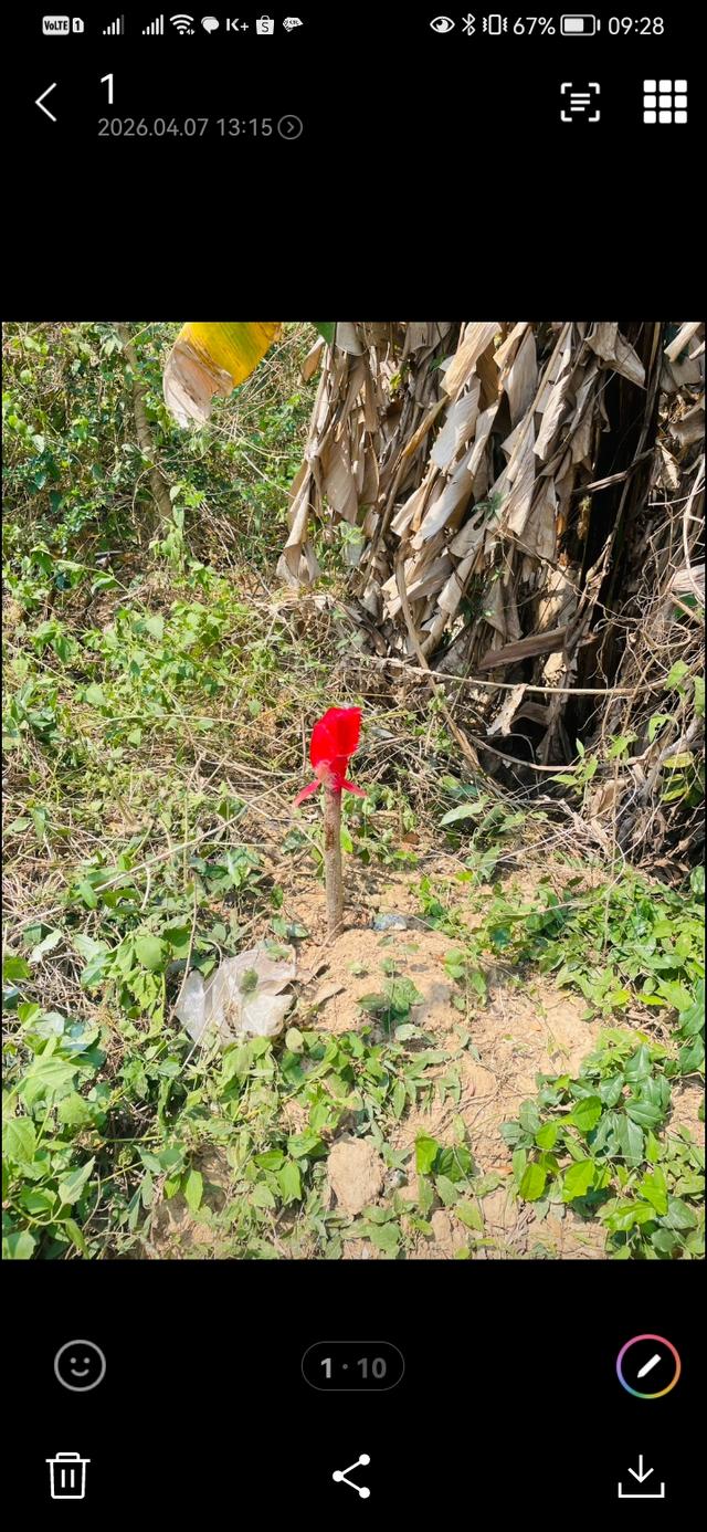 ขายถูกที่สุด ที่ดิน108ตรว.พร้อมโครงสร้างเสา15ต้น 4