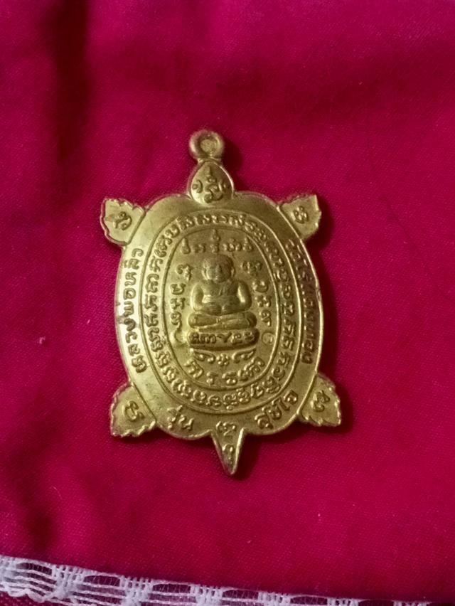 เต่าหลวงปู่หลิว สุขใจ รูปที่ 4