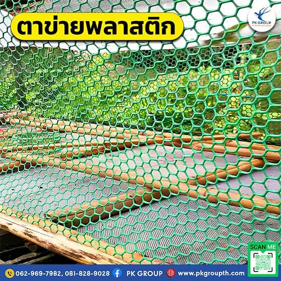 ตาข่ายพลาสติกหกเหลี่ยมกับงานเกษตร: ป้องกันสัตว์ ปลูกผัก ปลอดภัยกว่าเดิม