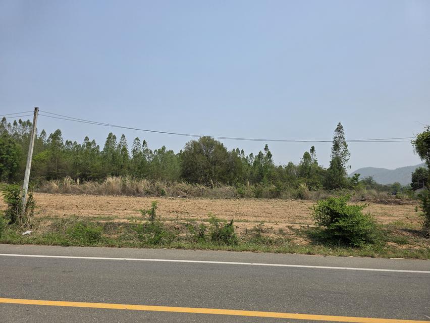 ขายที่ดิน (เจ้าของขายเอง) แปลงสวยติดถนนราดยาง 9