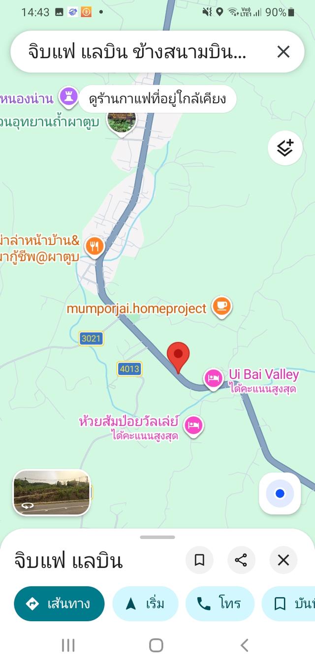ที่ดินติดถนน 101 น่าน-ปัว 4