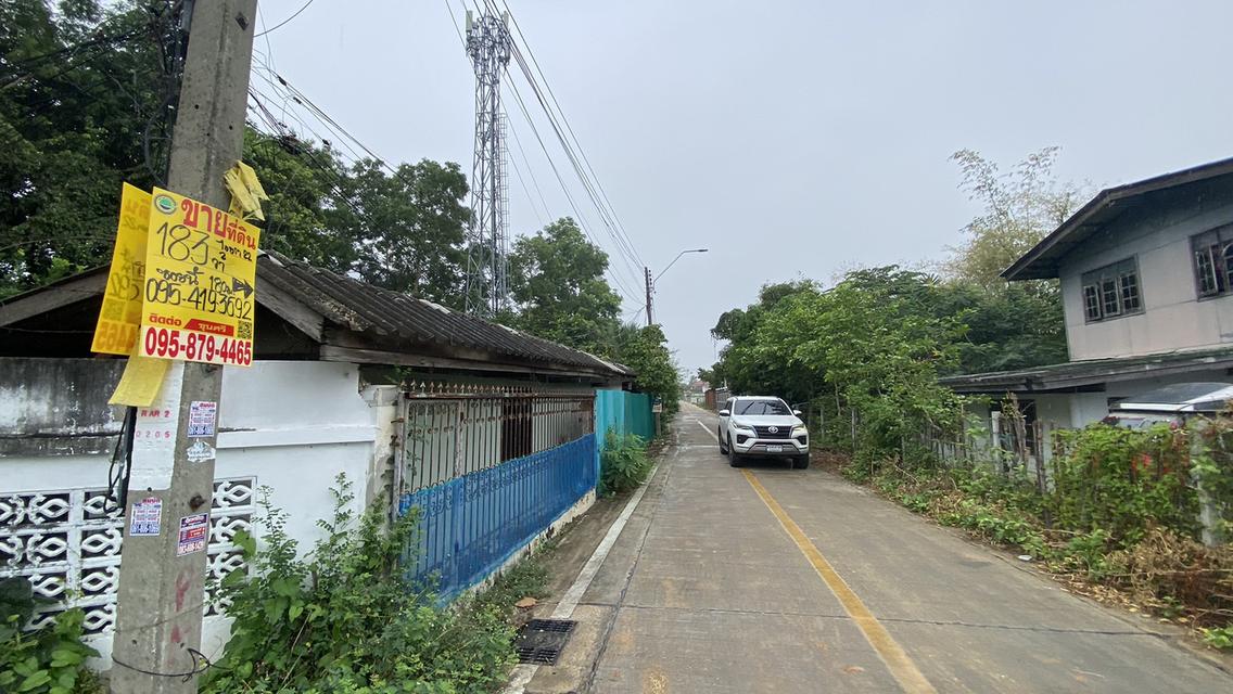 ขายด่วนที่ดินคลองสอง 183 ตรวติดถนนคอนกรีตสาธารณะ ซ.ไอยรา 22 อ.คลองหลวง จ.ปทุมธานี 2