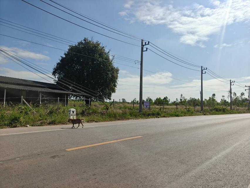 ขายที่ดิน 1 ไร่ 70 ตรว. ต.น้ำร้อน อ.วิเชียรบุรี จ.เพชรบูรณ์ ติดถนนใหญ่ ทำเลดีแหล่งชุมชน ล้อมรั้วรอบ ราคา 780,000 บาทสนใจติดต่อคุณเต้ เจ้าของขายเอง 2