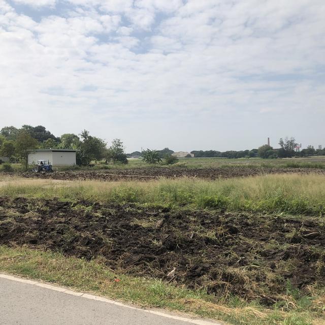 ขายทึ่ดิน 1 ไร่ ซอยดงจำปา5 ราคา 2.3 ล้าน สนใจติดต่อ 0936394245