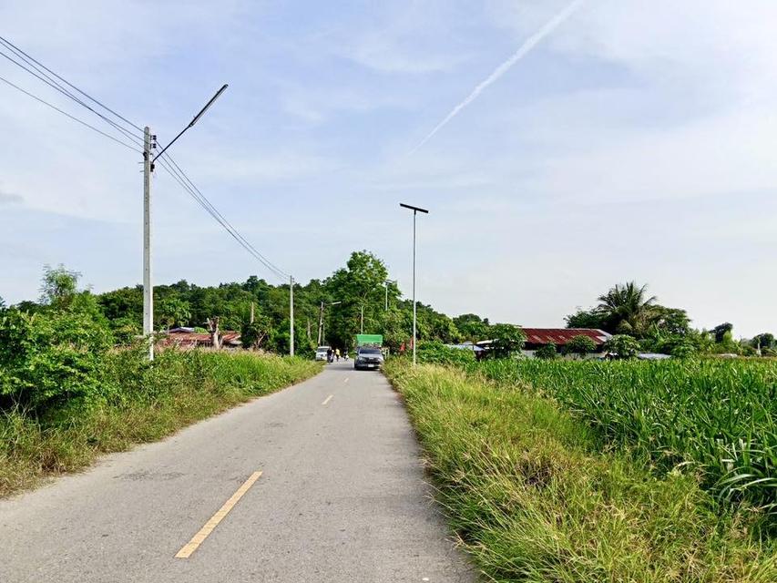 ขายที่ดินโฉนดครุฑแดงสระบุรี ราคาถูก1ไร่ 690,000หกแสนเก้าหมื่น บ้านหนองหว้า อ.เฉลิมพระเกียรติ จ.สระบุรี โทร098 513 6286 3