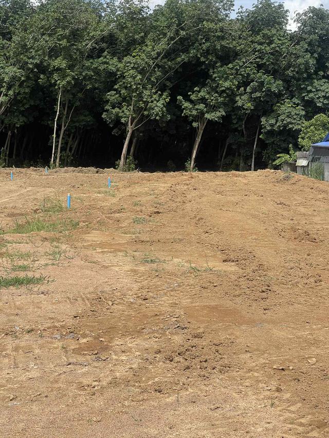 ขายที่ดินจัดสรรหนองละลอกเริ่มต้น 50 ตรว. ถมแล้วน้ำ-ไฟพร้อมใกล้นิคมปิ่นทอง6-1.8กม. อ.บ้านค่าย ระยอง 8