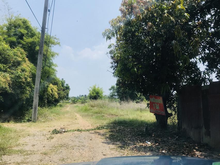ขายที่ดินจังหวัดขอนแก่น 3