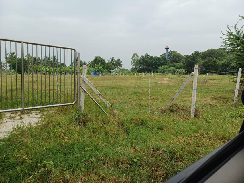 ขายที่ดินเปล่าถมแล้วจำนวน 4 ไร่ ต.เขาขลุง อ.บ้านโป่ง จ. ราชบุรี ห่างถนนใหญ่ 40 เมตร(ถนนกำลังขยาย 4 เลน) 9