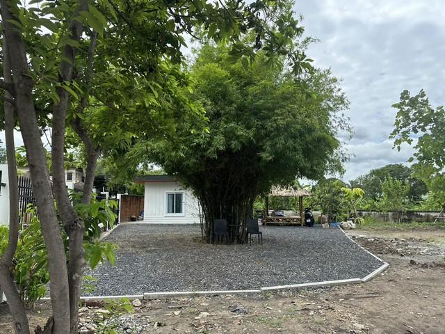 ขายที่ดิน 1-2-75 ไร่ ย่านคู้บอน รามอินทรา กม.8 วัชรพล เขตบางเขน ใกล้ MRT คู้บอน 4