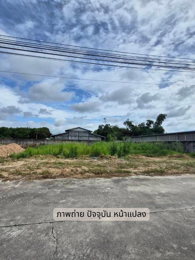 ที่ดินแปลงสวย บ้านฉาง ระยอง ทำเลทอง ใกล้ทะเล พื้นที่ 200 ตร.ว. 3
