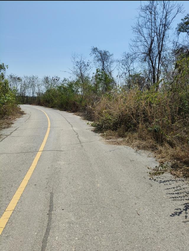 ที่ดิน พื้นที่สีม่วง 112ไร่ 6