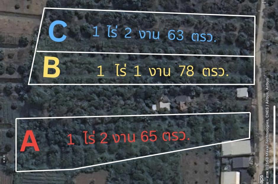 ที่ดินสวนลำไยแถวสารภี 1