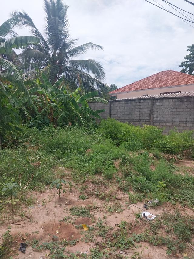 ขายที่ดินขนาด100ตารางวาบนเกาะสมุย 2