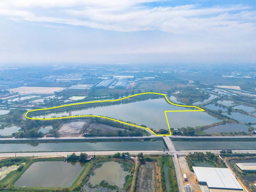 ขายที่สีม่วง 46 ไร่ ใกล้ถนนเลียบมอเตอร์เวย์ สาย 7 ใกล้นิคมอมตะ ชลบุรี ต.บางนาง อ.พานทอง จ.ชลบุรี 4