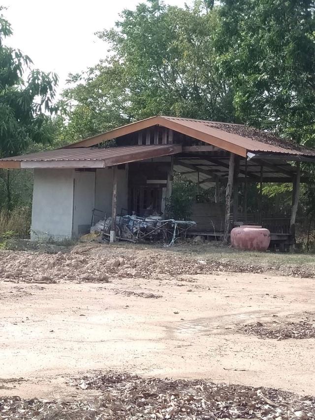 ที่ดิน 5 ไร่ราคาถูก สระกระโจมดอนเจดีย์สุพรรณบุรี 7
