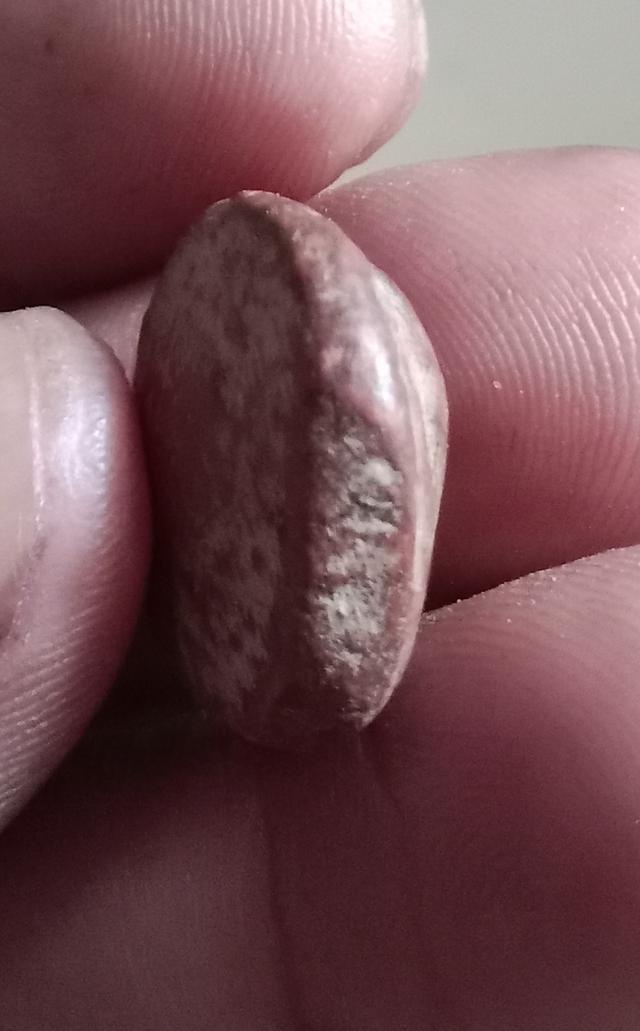 พระกำแพงซุ้มกอ ขนมเปี๊ยะ 4