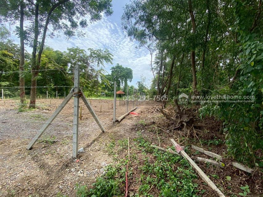 ขายที่ดิน หมู่บ้านเลคการ์เด้นวิลล์ รังสิต คลอง3 ธัญบุรี รังสิต-นครนายก68 พื้นที่ 155 ตรว ด้านหลังติดเลค ใกล้ฟิวเจอร์พาร์ค รังสิต 6
