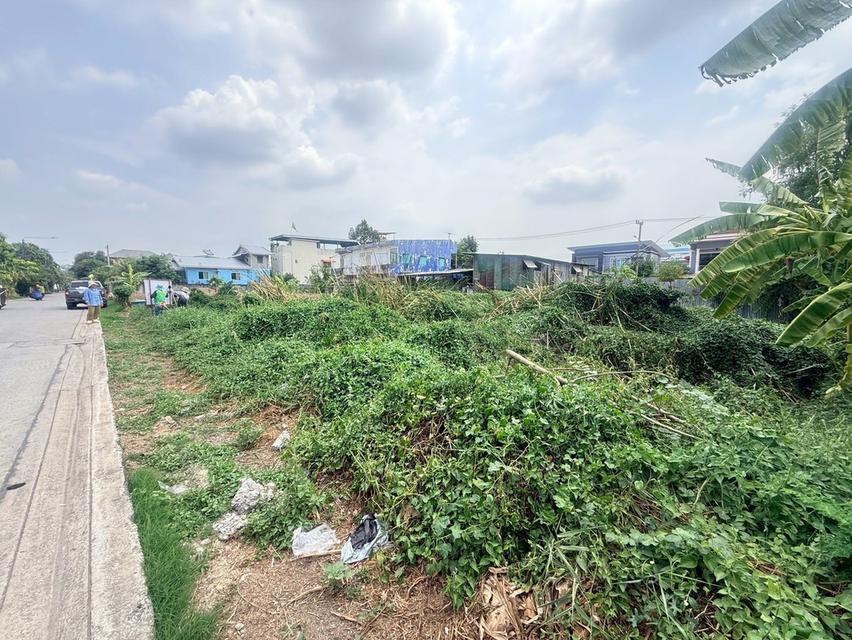 ขายด่วนที่ดินใกล้วัดแสงสรรค์ 140 ตรว ติดถนนสาธารณะ รังสิต-นครนายก 33 ธัญบุรี ปทุมธานี 4