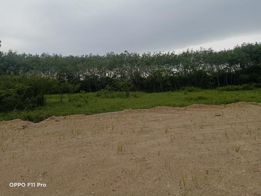 ขายที่ดินติดคลอง 9