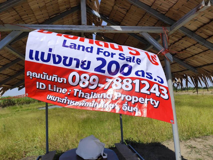 Sale large land 9.3 Rais suitable for projects or building house etc, can be subdivided Kamphaeng Saen District, Nakhon Pathom Province near Bangkok 3