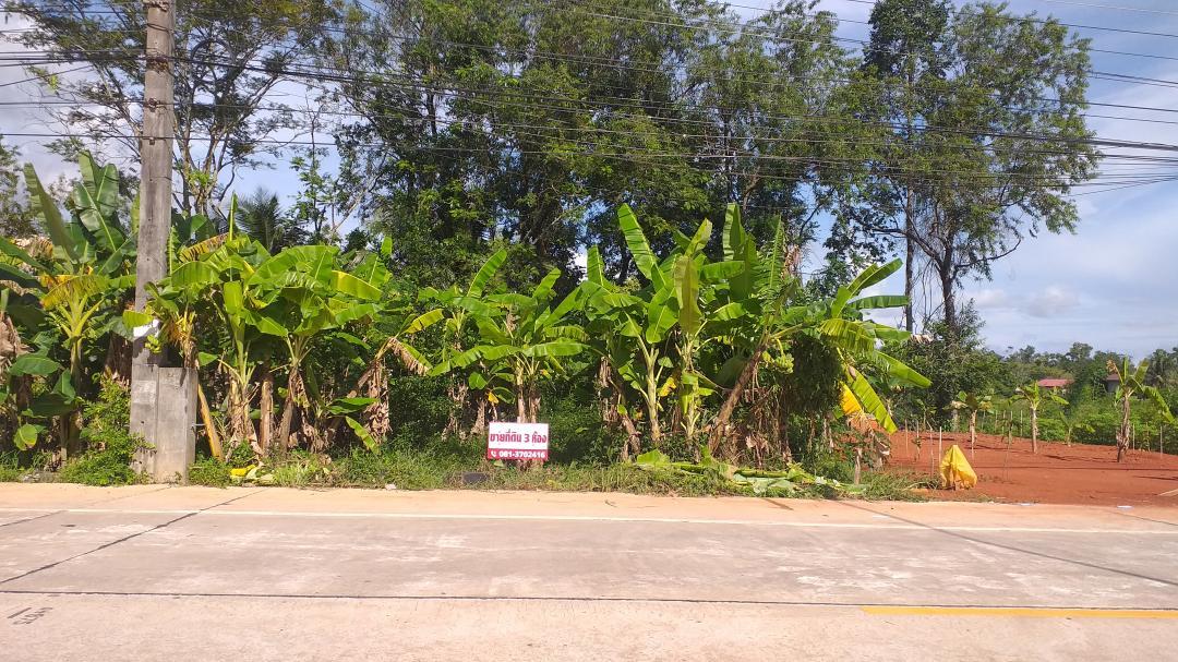 ขาย/ให้เช่า/หรือแลกเปลี่ยน ที่ดิน 3 ห้อง(66 ตร.ว.) ติดถนนสายสะพานพร้าว-ต.ตำนาน ห่างจากศาลากลางประมาณ 2 กม. อ.เมืองพัทลุง 4