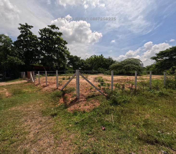 ขายที่ดิน 1 งาน 49 ตารางวา (บางแฟบ หาดใหญ่) 3