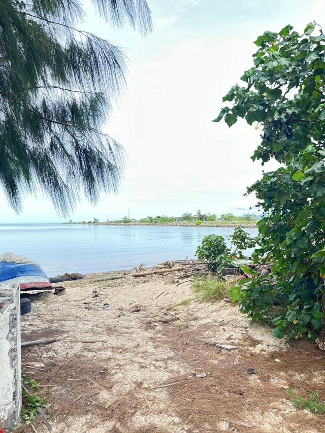 ขายที่ดินริมชายหาด เกาะสมุย 5ไร่ 1 งาน 60.20 ตร.ว. ไร่ละ 30 ล้านบาท ใกล้สนามบินเกาะสมุย บ่อผุด  2