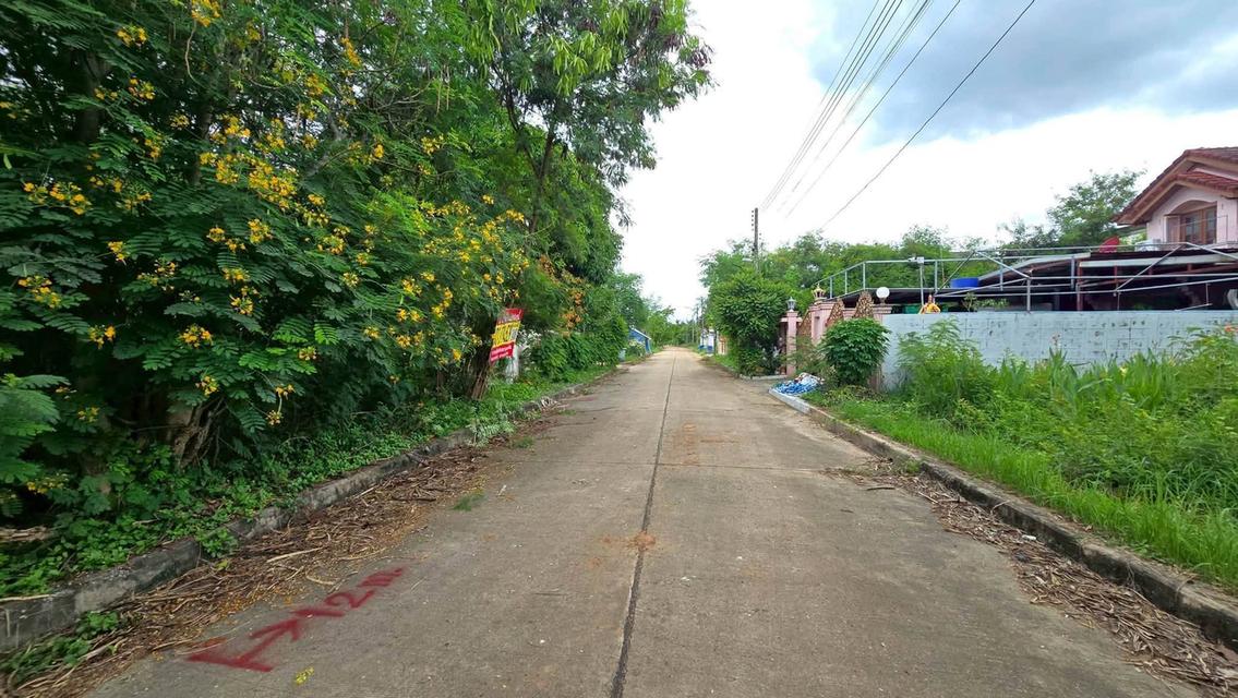 ขายด่วนที่ดินใกล้ตลาดสดมหาชัยเมืองใหม่ 80 ตรว ติดถนนคอนกรีต ถมแล้ว คอกกระบือ เมืองสมุทรสาคร 1