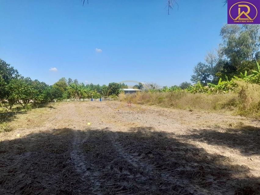 ขายที่ดินเปล่า ราคาหลักแสน แปลงสวย ทำเลดี เหมาะสร้างบ้าน 1 งาน 99.4 ตารางวา ต.นาวังหิน อ.พนัสนิคม จ.ชลบุรี 1