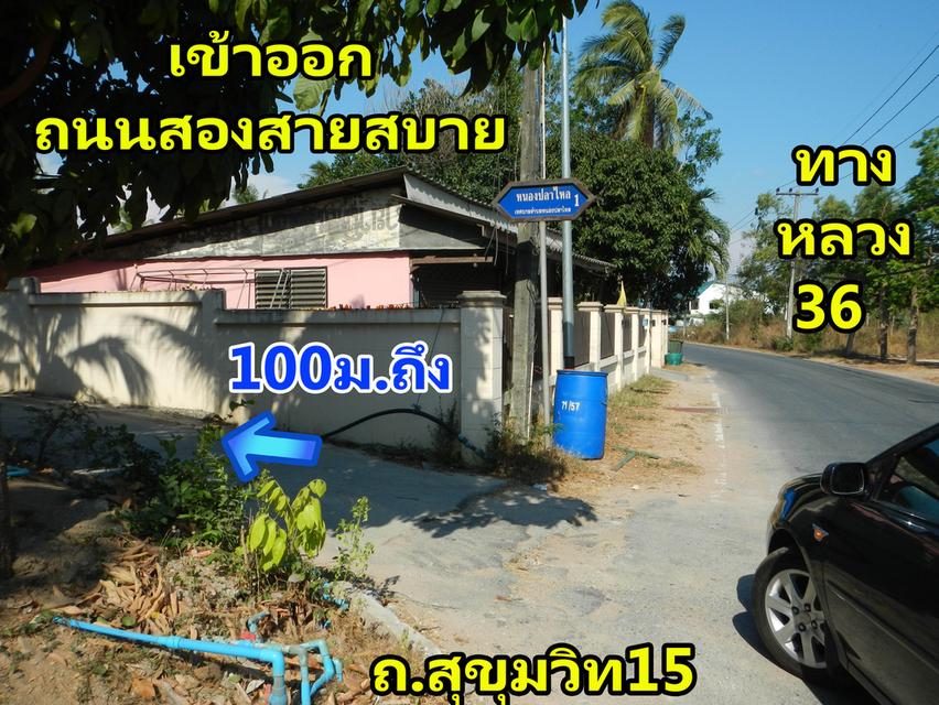 ขายถูกที่ดินใกล้พัทยา 312   5