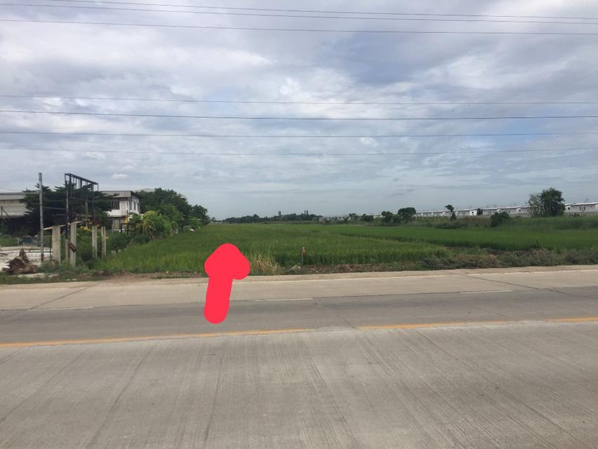 ขายที่ดินทำเลดี 6