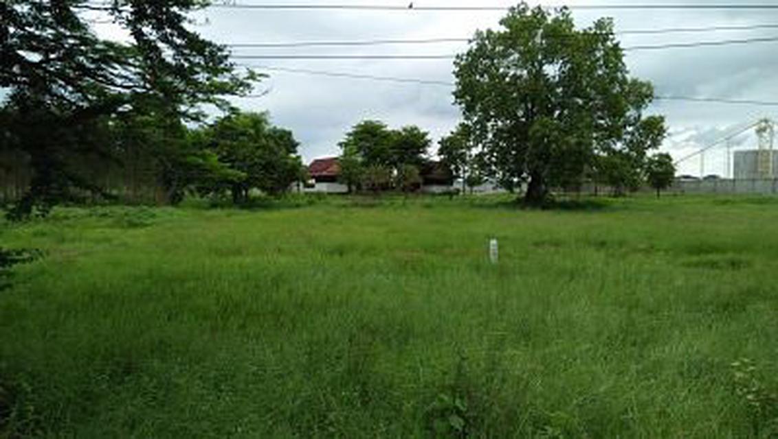   Large Land Suburban of Kanchaburi with Chanote Title Suita 1