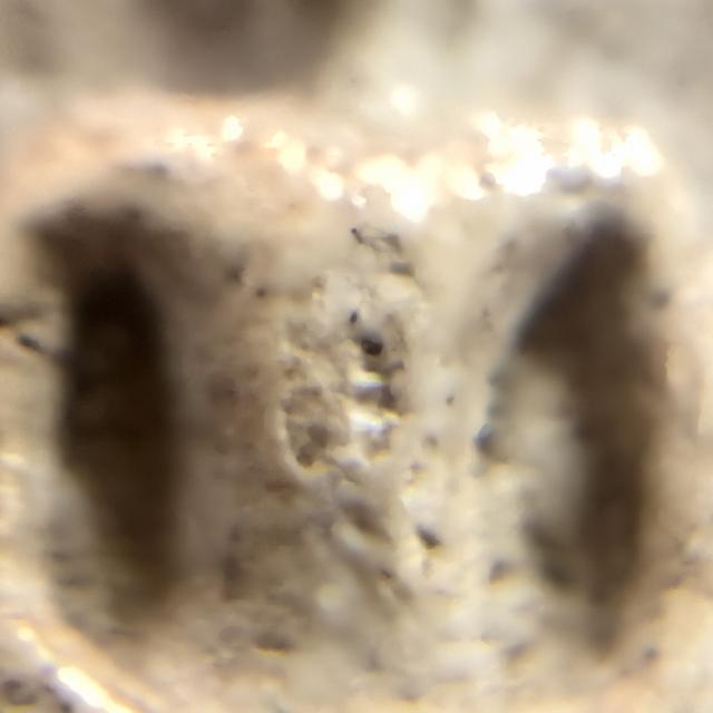 พระสมเด็จวัดระฆังพิมพ์ประธาน 13