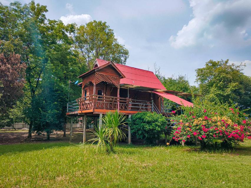 ขายที่ดินทำเลทองพร้อมสิ่งปลูกสร้าง บนเนื้อที่ 18 ไร่ 2 งาน 19 ตารางวา พิษณุโลก 5