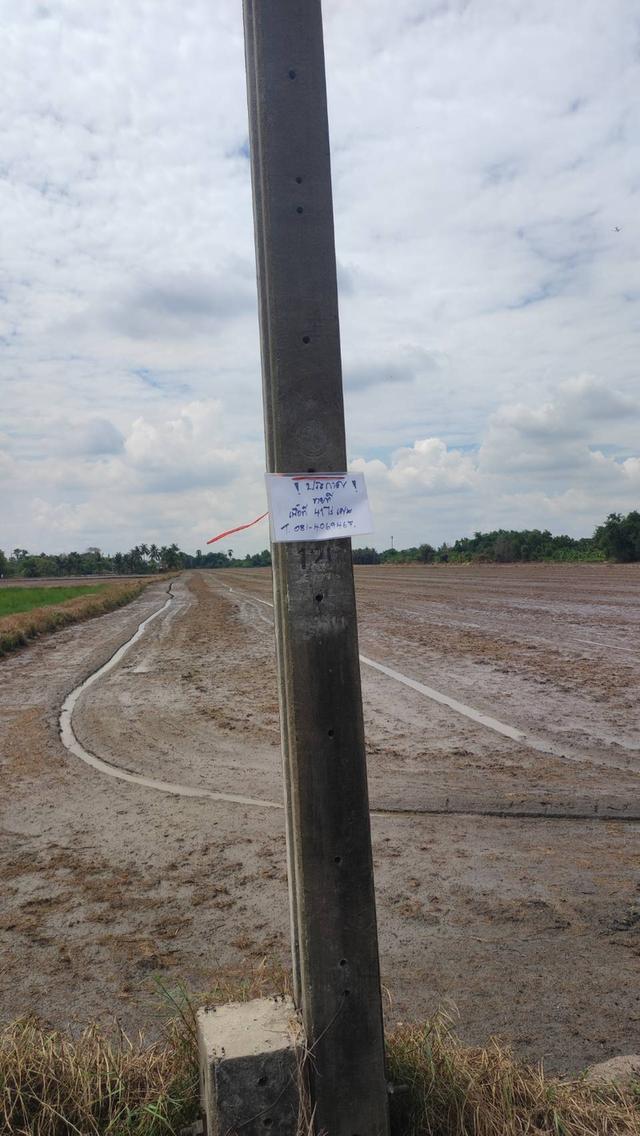 แบนชะโด สามวา ตะวันตก 41 ไร่ / ไร่ละ 3 ล้าน 2 2