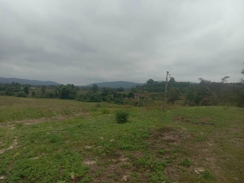 ที่ดินเปล่า 20 ไร่ๆละ 5 แสน แบ่งขายได้ คลองสอง วังน้ำเขียว 2