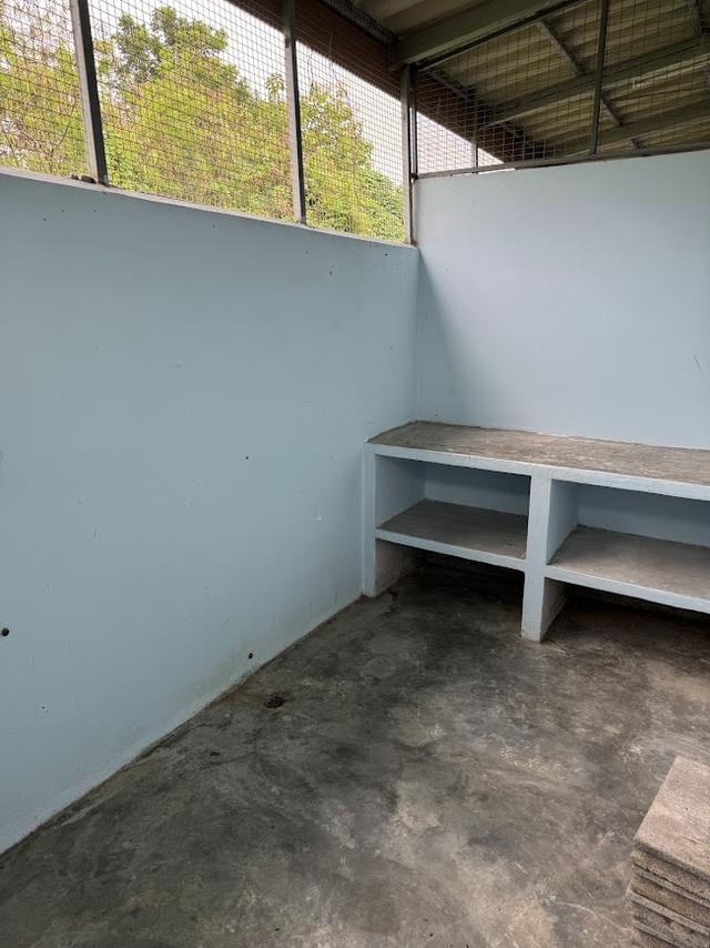 ห้องแถว บ้านเช่า อ.บางแพ จ.ราชบุรี 8