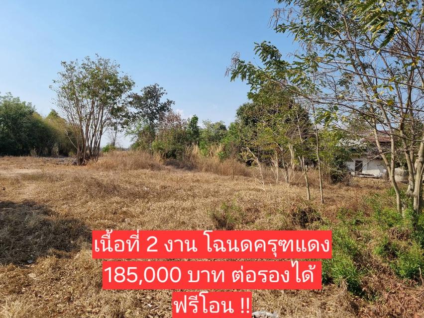 ที่ดินเปล่าถมแล้ว 200 ตารางวา สาธารณูปโภคพร้อม 4