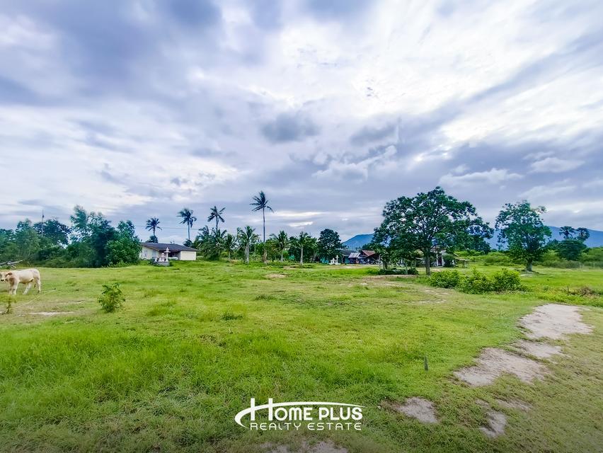 🌳 ขายที่ดินแปลงใหญ่ 14 ไร่ 24 ตร.ว. ใกล้สถานีรถไฟห้วยยาง ทับสะแก 13