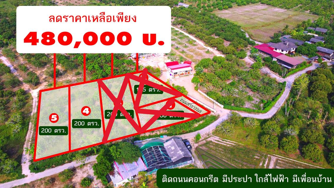 ขายที่ดินแบ่งจัดสรรเริ่ม 200ตรว. 480,000บ. ถนนคอนกรีต ไฟฟ้า ประปา เพื่อนบ้าน ต.ทุ่งปี๊ อ.แม่วาง เชียงใหม่